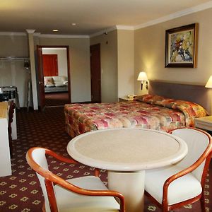 Suite Room